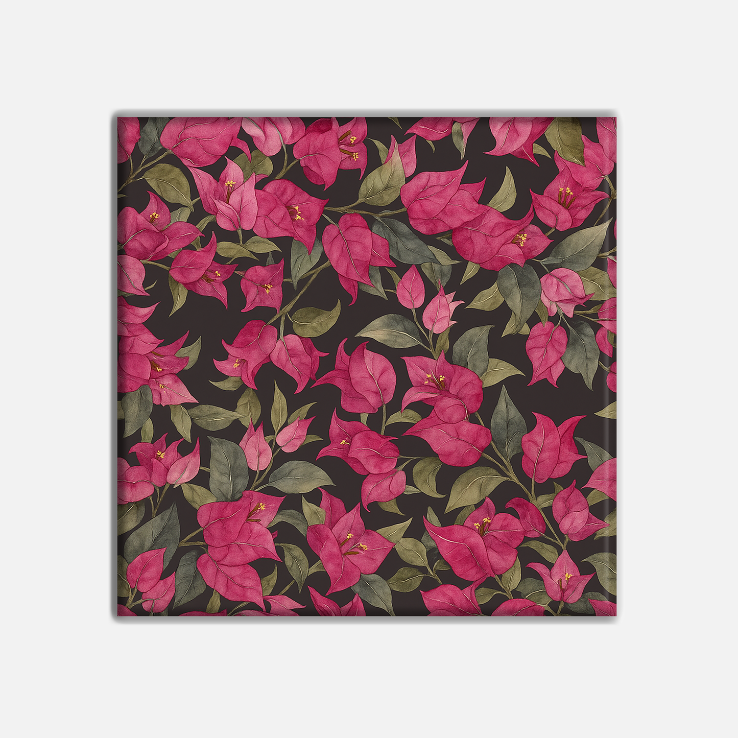 Bougainvillea Émeraude